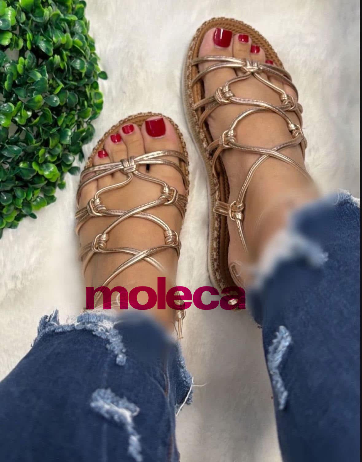 Aurea Rose Gold Moleca