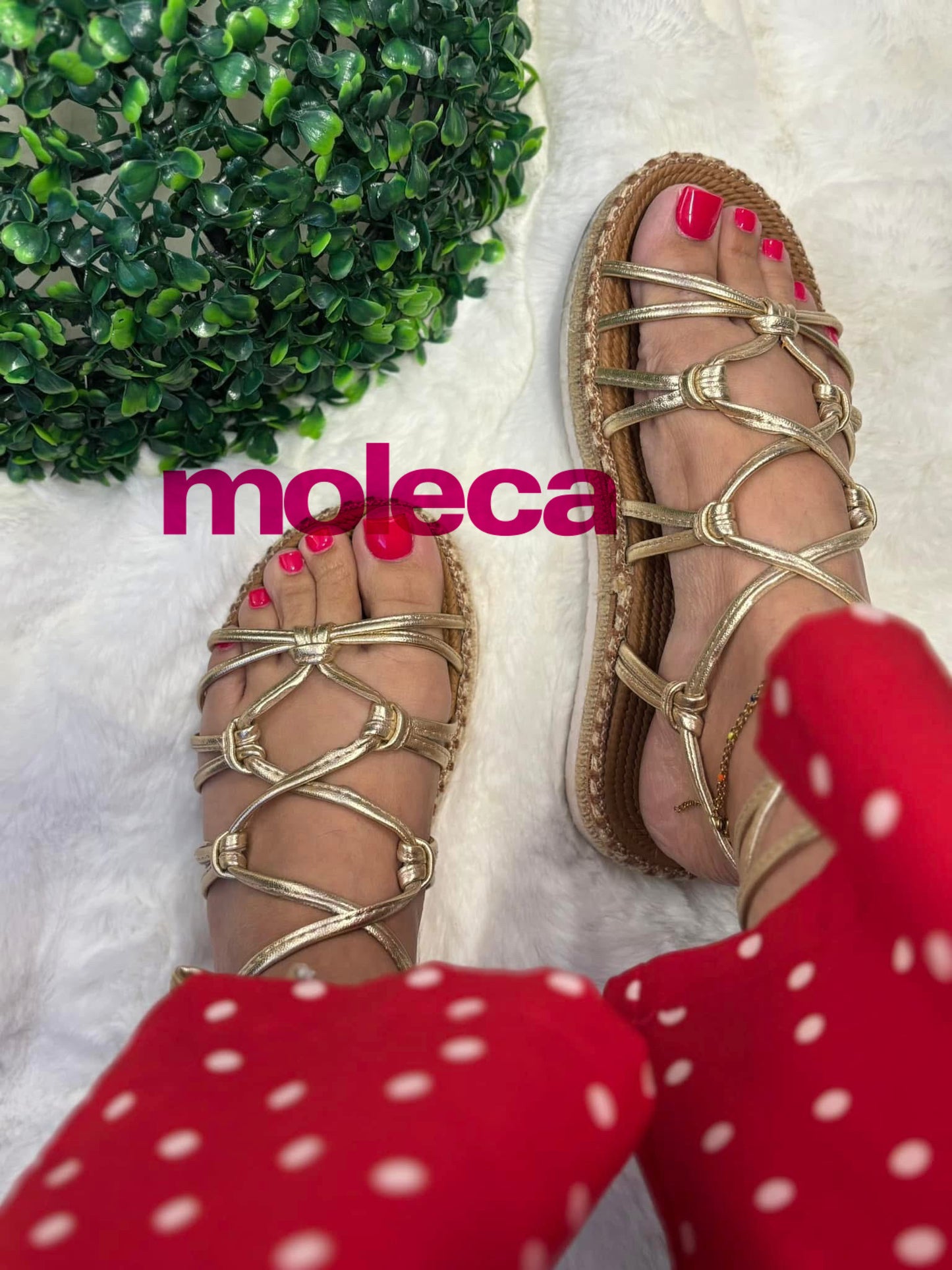Aurea Gold Moleca