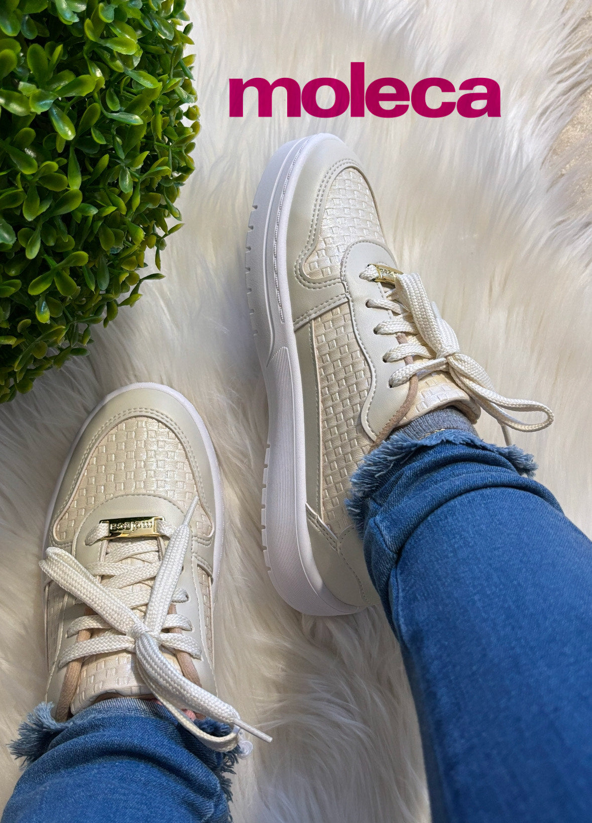 Sardenha White Moleca