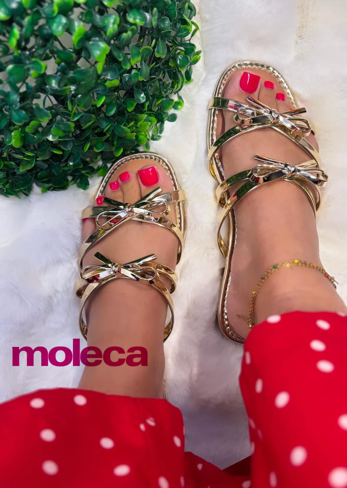 Coquetee Gold By Moleca