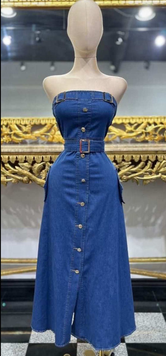 Denim Marine Dress